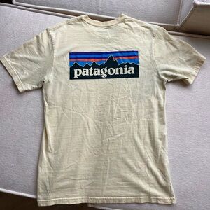 Patagonia Men's Faded Yellow/Beige Graphic Tee